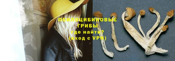 скорость Абаза