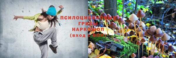 скорость Абаза