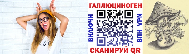 Галлюциногенные грибы Psilocybe  купить наркотик  Елизаветинская 